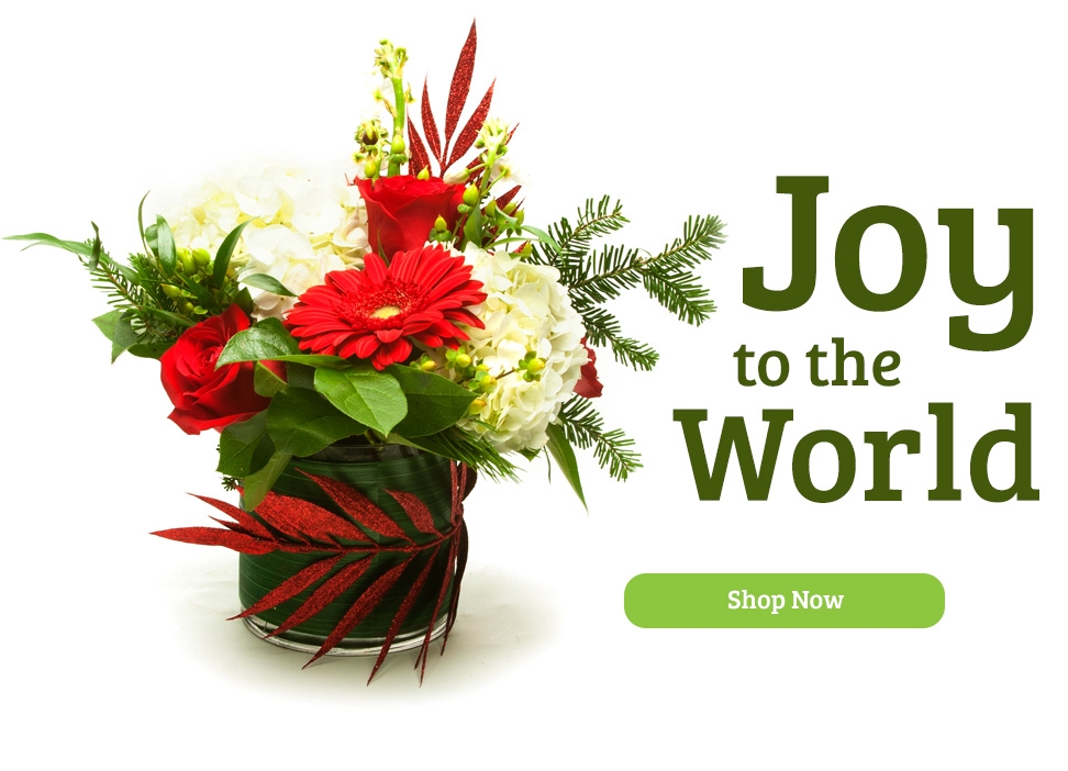 Dave's Gift Baskets Flowers Floral Shop Gift Cards RI