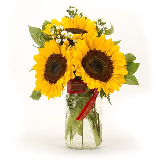 Sunflower Mason Jar Dave's Gift Baskets Floral RI