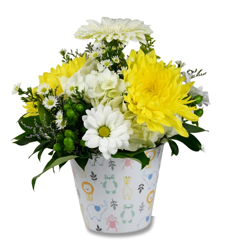 Daisy Baby - Item # 44853 - Dave's Gift Baskets